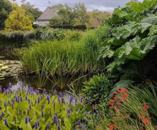 bassin jardin anglais