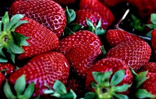 Fraise Cherry Berry fraisier