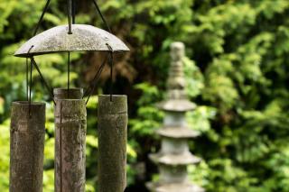 jardin japonais plantes deco