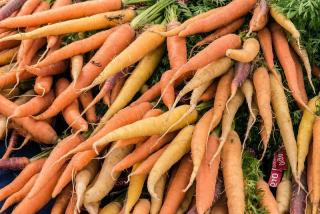 varietes de carottes
